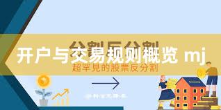 开户与交易规则概览 mj